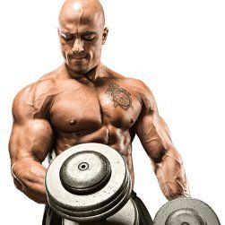 Курс на силу